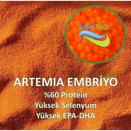 Artemia Embriyosu