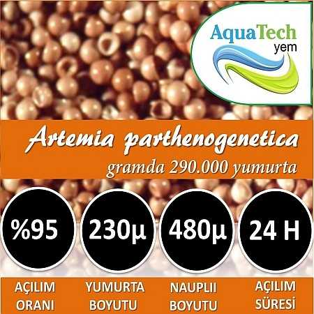 Premium Artemia Yumurtası 500 Gr