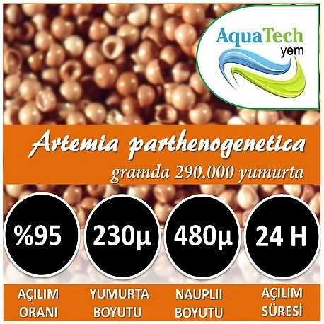 Artemia Yumurtası %100 Yerli 500 Gr